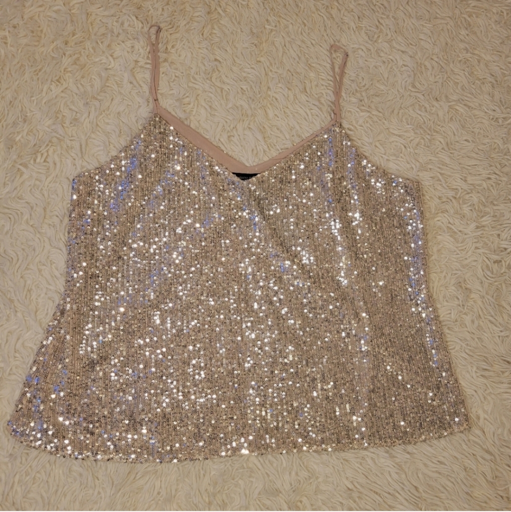 Nwt Sequin Cami